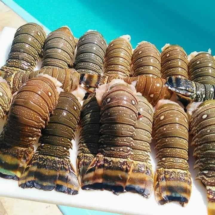 Águas Belas 维达贝拉宾馆酒店 外观 照片